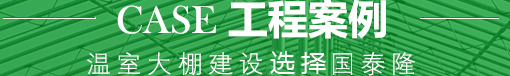 國泰隆工程案例