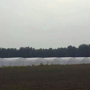 連棟大棚骨架