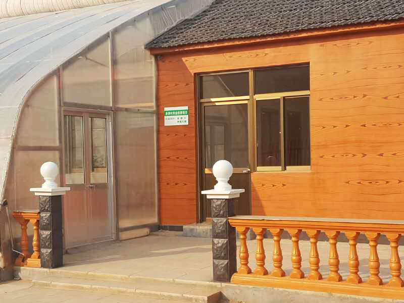 田園綜合體