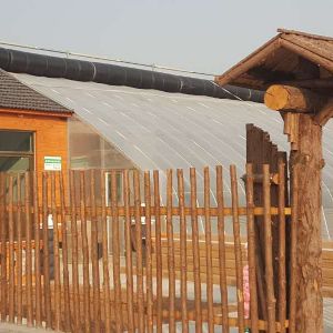 田園綜合體