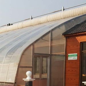 田園綜合體