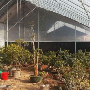 田園綜合體