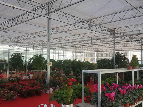 定西市花卉市場1.jpg