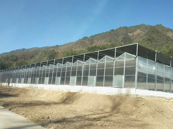 貴州畢節工地.jpg