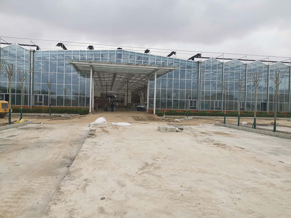甘肅生態餐廳建設中2.jpg